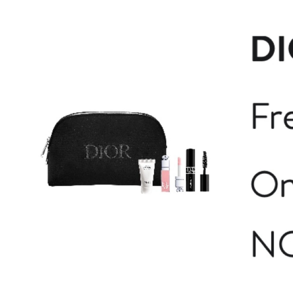 Dior cosmetic bag